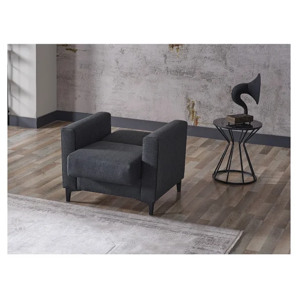 Vipa Home Oplo Tekli Kanepe Yataklı - Antrasit - Görsel 4