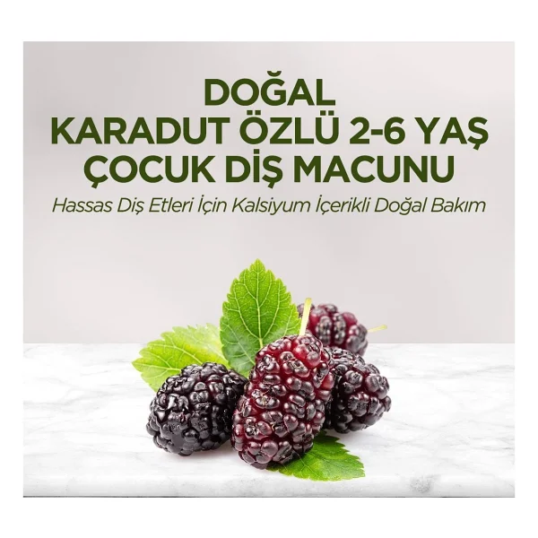 Eyüp Sabri Tuncer Doğal Karadut Özlü 2-6 Yaş 60 Ml Florürsüz Çocuk Diş Macunu - Görsel 4