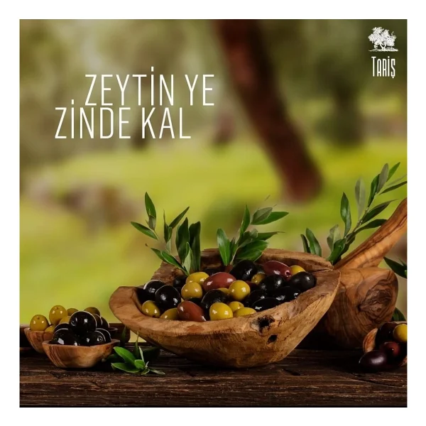 Tariş Güney Ege Natürel Sızma Zeytinyağı 5 Lt - Görsel 4