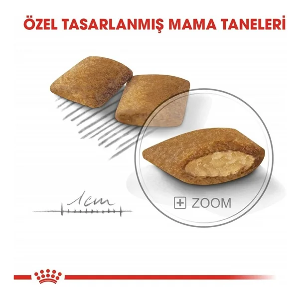 Royal Canin Ccn Mini Exigent Küçük Irk 3 Kg Yetişkin Kuru Köpek Maması - Görsel 9