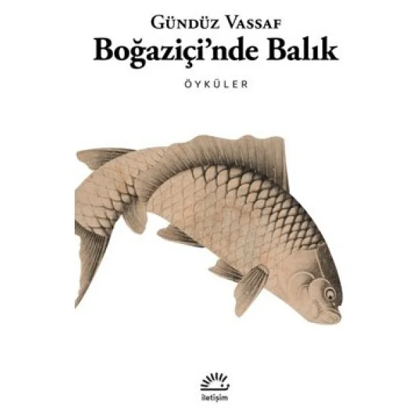 Boğaziçi'nde Balık - Gündüz Vassaf - Görsel 2
