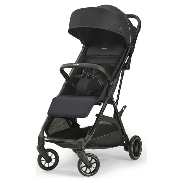 Inglesina Now Kabin Tipi Bebek Arabası - Görsel 2