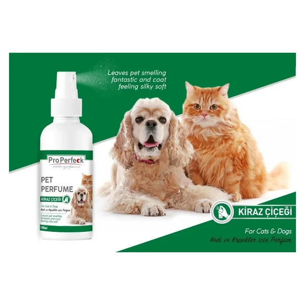 Pro Perfeck Cherry Blossom 100 Ml Kedi Köpek Parfümü - Görsel 2
