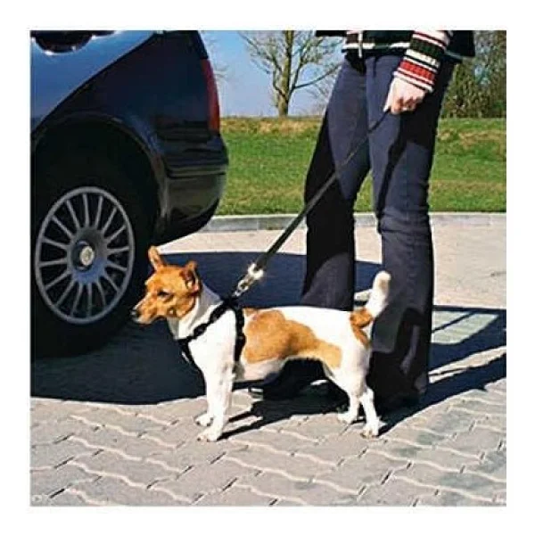Trixie Kopek Emniyet Kemeri Large 70-90 Cm - Görsel 2
