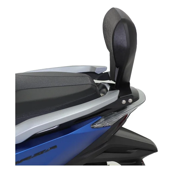 Gp Kompozit Honda Forza 250 2021-2022 Uyumlu Sissy Bar Siyah - Görsel 3