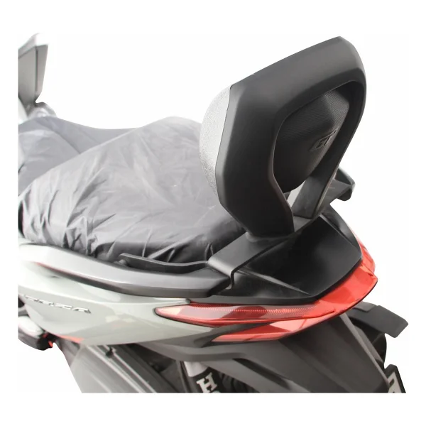 Gp Kompozit Honda Forza 250 2023-2025 Uyumlu Sissy Bar Siyah - Görsel 4