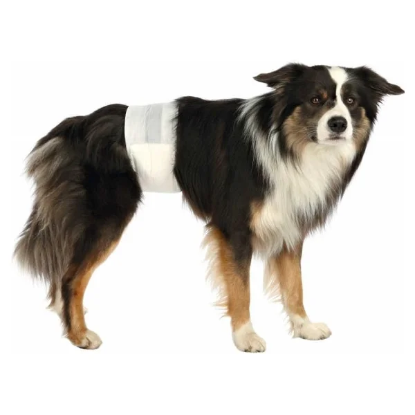 Trixie Erkek Köpek Çiş Külodu Ve Pedi S-M 30-46cm 12adet - Görsel 5