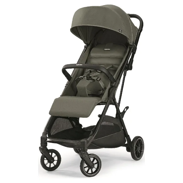 Inglesina Now Kabin Tipi Bebek Arabası - Görsel 4