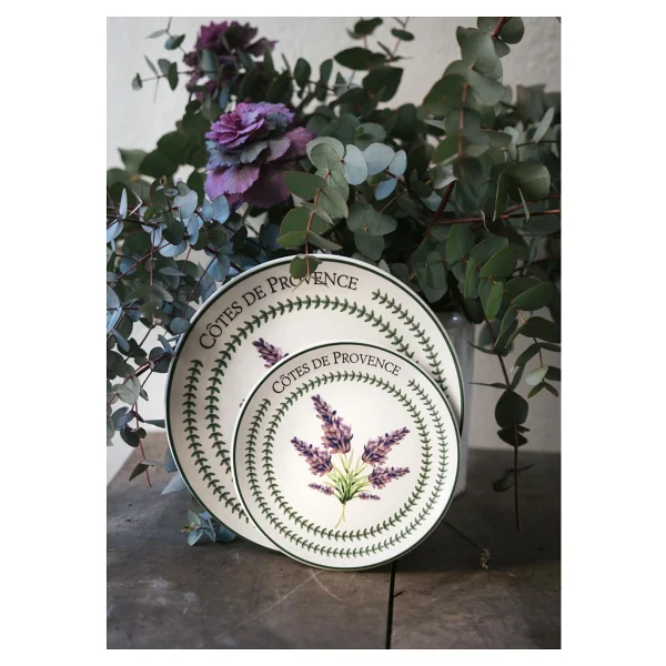 The Mia Provence PRC0004 26 cm 6'lı Servis Tabağı - Görsel 4
