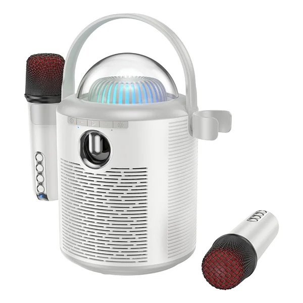 Hoco Bs59 10 W Mikrofonlu Bluetooth Hoparlör - Görsel 4