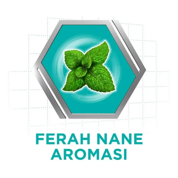 Corega Naneli 40 Gr 5 Adet Protez Diş Yapıştırıcı - Görsel 2