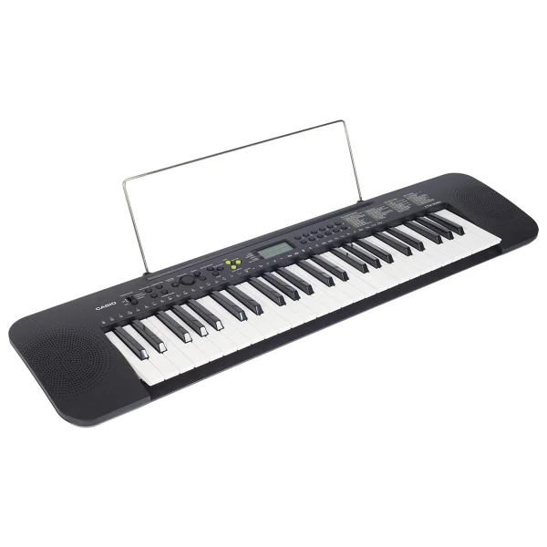 Casio Ctk-240 49 Tuşlu Org - Görsel 2