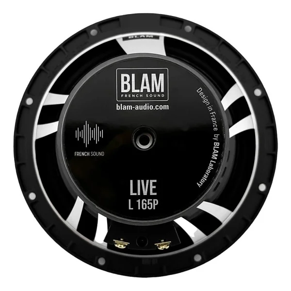 Blam L165p 180 W 16 Cm Komponent Oto Hoparlör - Görsel 3
