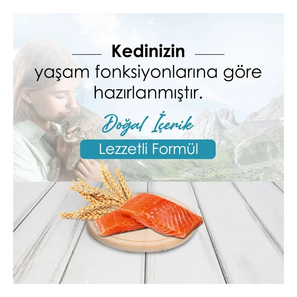 Mercy 10 Kg Somonlu Yetişkin Kedi Maması Ekonomik Segmentte Yüksek Lezzet Sunar - Görsel 2