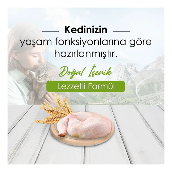 Mercy Tavuklu 15 kg Yetişkin Kedi Maması - Görsel 8