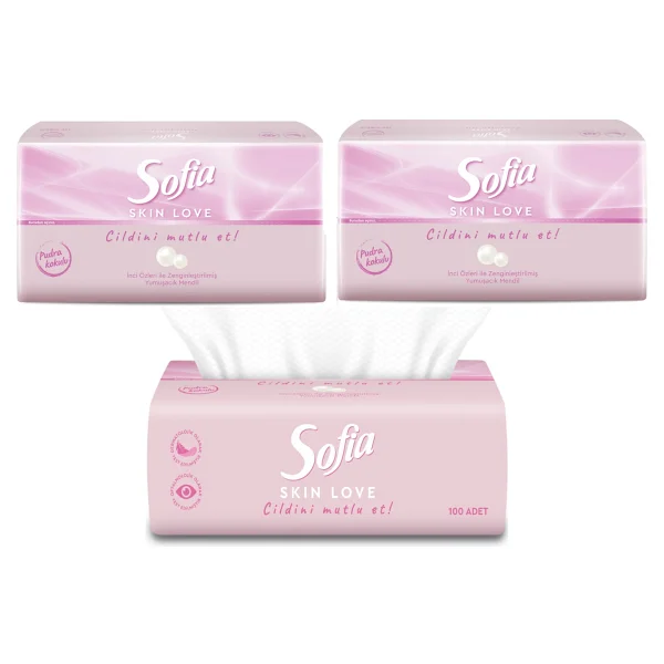 Sofia Skin Love Pudra Kokulu Mendil 100'lü 3 Paket - Görsel 6
