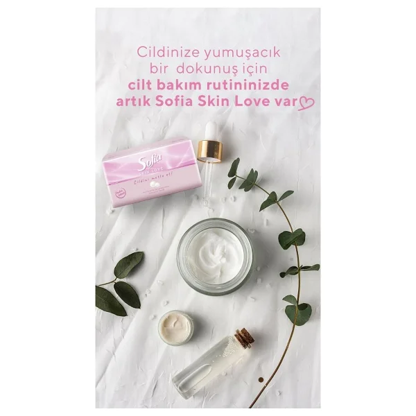 Sofia Skin Love Pudra Kokulu Mendil 100'lü 3 Paket - Görsel 2