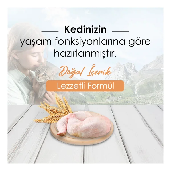 Bonnie Tavuklu 10 Kg Yetişkin Kedi Maması - Görsel 2