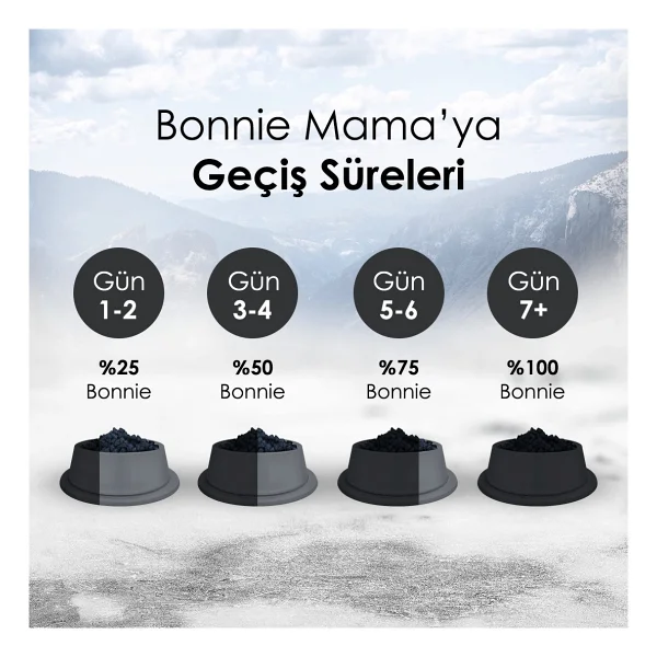 Bonnie Tavuklu 10 Kg Yetişkin Kedi Maması - Görsel 4