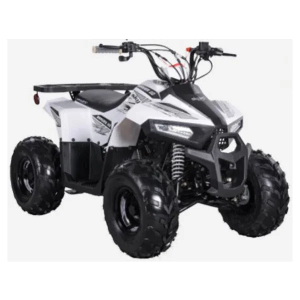 Skyjet Braves 110 107 Cc Atv Benzinli Motosiklet - Görsel 8