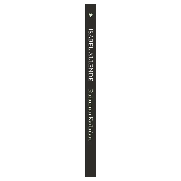 Ruhumun Kadınları - Isabel Allende - Görsel 2