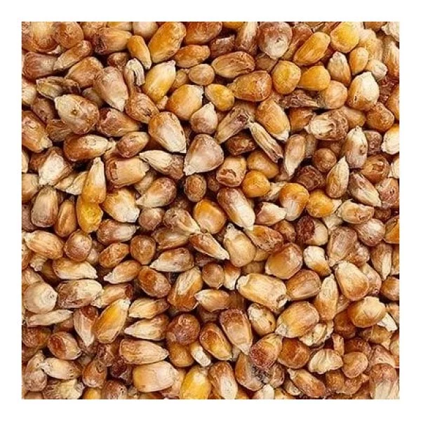 Kavurga Mısır 1 Kg - Görsel 2