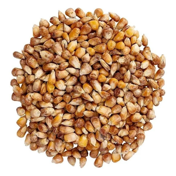 Kavurga Mısır 1 Kg - Görsel 3