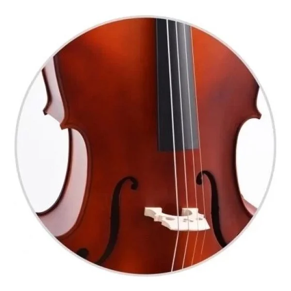 Dominguez Dcr14nm 1/4 Gül Çello - Görsel 5