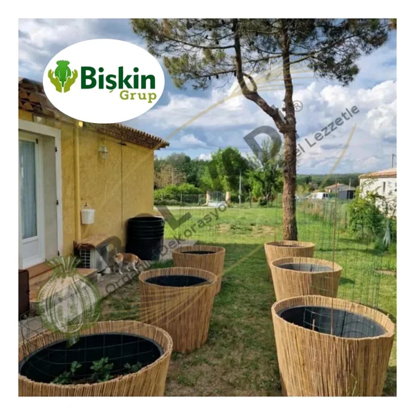 Bişkin 75 Cm X 300 Cm Afyonkarahisardan Misina Ipli Doğal Bambu Kamış Çit Bahçe Çiti Hasır Çit Gölgelik - 75 X 300 Cm - Görsel 5