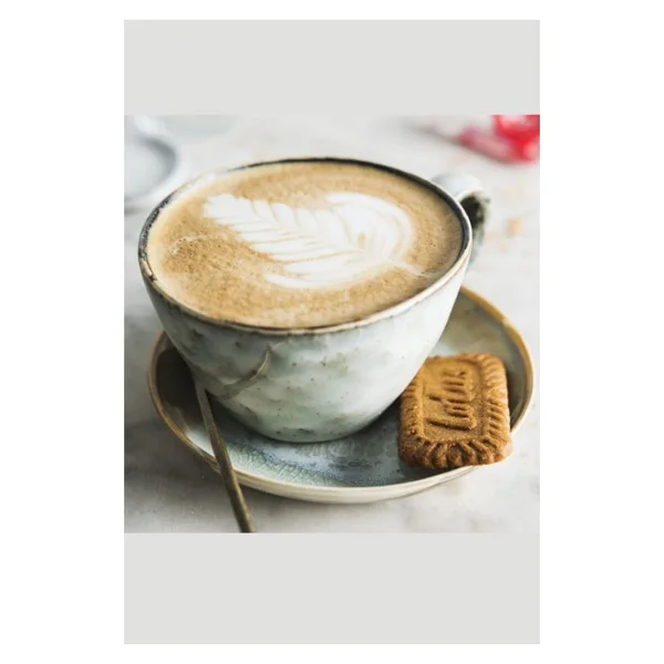 Lotus Biscoff Karamelize Bisküvi 2 Paket 250 Gr X 2 Kahve Ve Çay İle Mükemmel Uyum - 500 Gr - Görsel 5