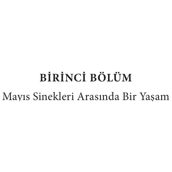 Zamanı Durdurmanın Yolları - Matt Haig - Görsel 3
