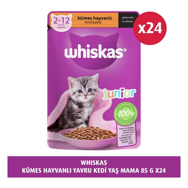 Royal Canin Babycat Milk 300 Gr Yavru Kedi Süt Tozu - Görsel 7