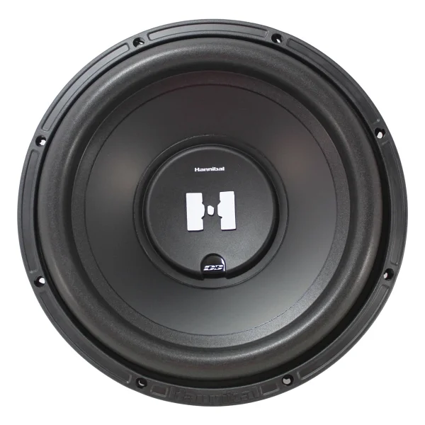Deaf Bonce Hannibal Hs-1200 D2-D4 1200 W 30 Cm Subwoofer Oto Hoparlör - Görsel 3