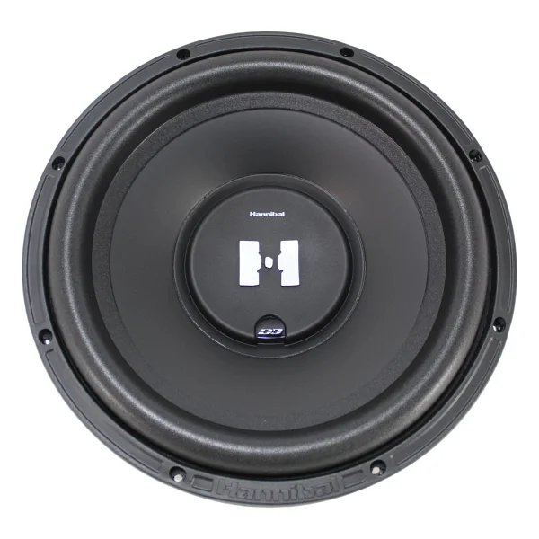 Deaf Bonce Hannibal Hs-600 600 W 30 Cm Subwoofer Oto Hoparlör - Görsel 6