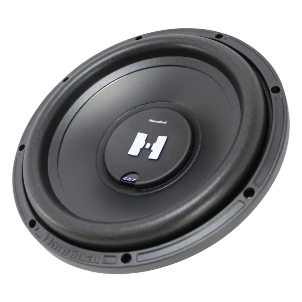 Deaf Bonce Hannibal Hs-600 600 W 30 Cm Subwoofer Oto Hoparlör - Görsel 2