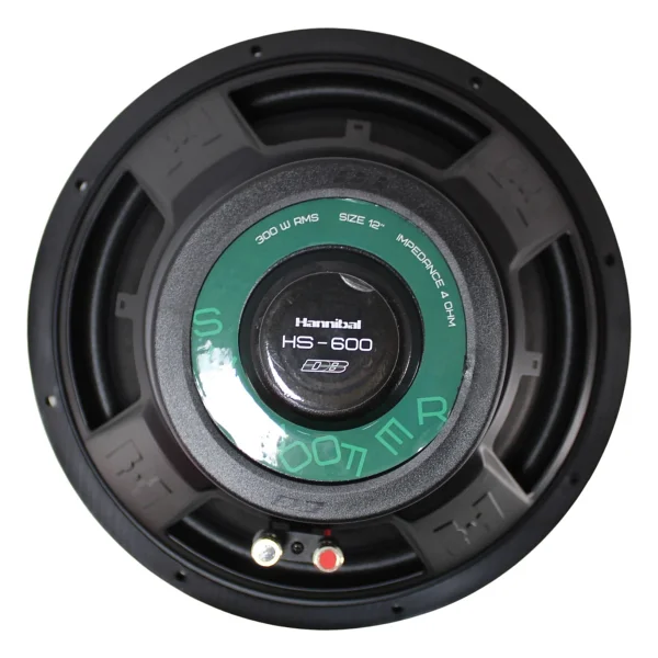 Deaf Bonce Hannibal Hs-600 600 W 30 Cm Subwoofer Oto Hoparlör - Görsel 3