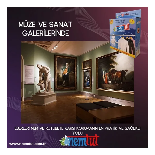 Nemtut Nem Alıcı Önleyici Rutubet Küf Giderici Emici Korozyon Önleyici Koku Giderici 1 Kg 1 Kutu 2 Paket - Görsel 2