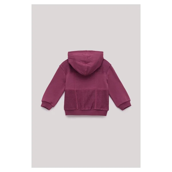 GB Baby Bg Store Erkek Bebek Bordo Eşofman Üstü - 6 Ay - Görsel 2