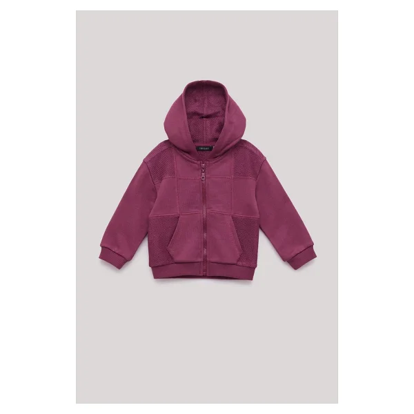 GB Baby Bg Store Erkek Bebek Bordo Eşofman Üstü - 6 Ay - Görsel 5