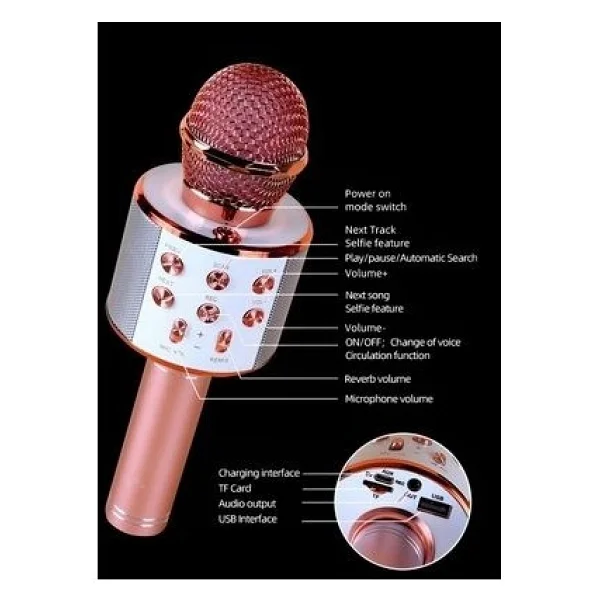 Tastech Şarjlı Kablosuz Karaoke Mikrofon Bluetooth Hoparlör Ses Değiştirme Özellikli Sd Kart USB Girişli - Gümüş - Görsel 4