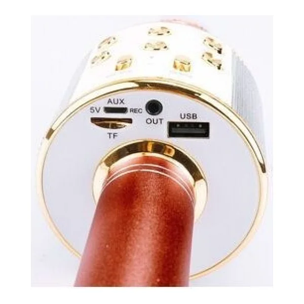 Tastech Şarjlı Kablosuz Karaoke Mikrofon Bluetooth Hoparlör Ses Değiştirme Özellikli Sd Kart USB Girişli - Gümüş - Görsel 5