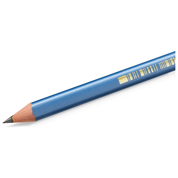 Bic Evolution 964845 Üçgen 12'li Kurşun Kalem - Görsel 5