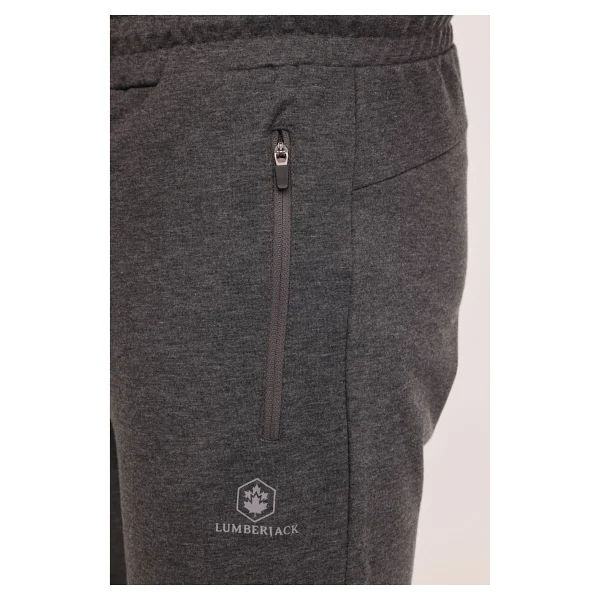 Lumberjack Basic Ct107 Gri Jogger Erkek Eşofman Altı - Görsel 4