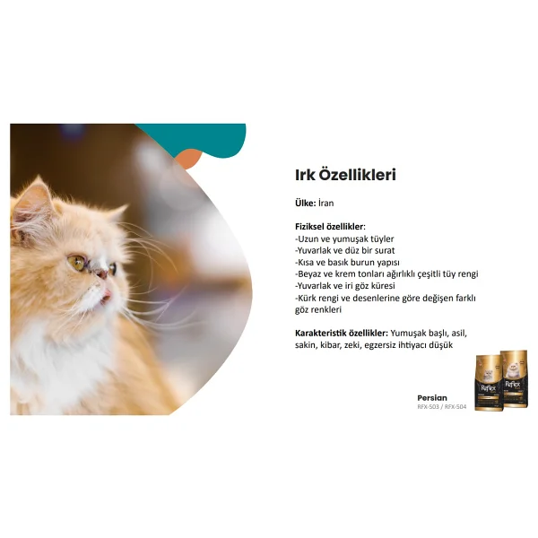 Reflex Plus Persian 1.5 kg Yavru Kedi Maması - Görsel 5