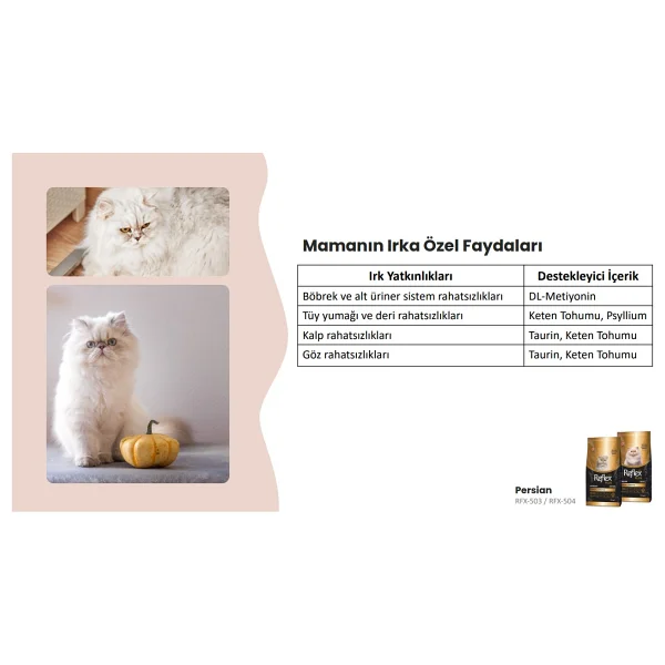 Reflex Plus Persian 1.5 kg Yavru Kedi Maması - Görsel 6