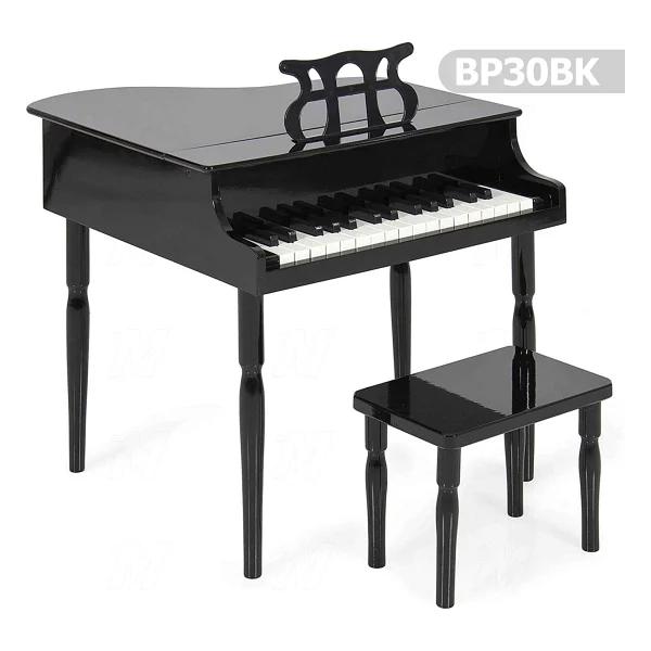 Manuel Raymond Çocuk Için Ahşap Çocuk Müzik Aleti Bp30bk - Görsel 6
