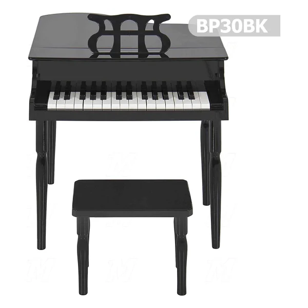 Manuel Raymond Çocuk Için Ahşap Çocuk Müzik Aleti Bp30bk - Görsel 3