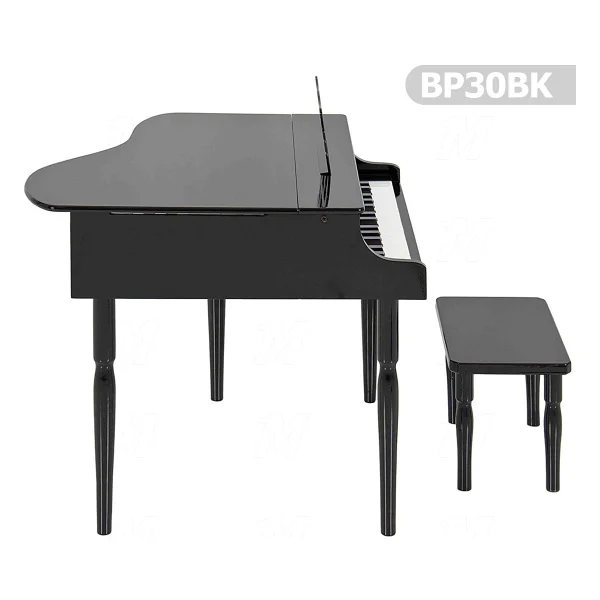 Manuel Raymond Çocuk Için Ahşap Çocuk Müzik Aleti Bp30bk - Görsel 4