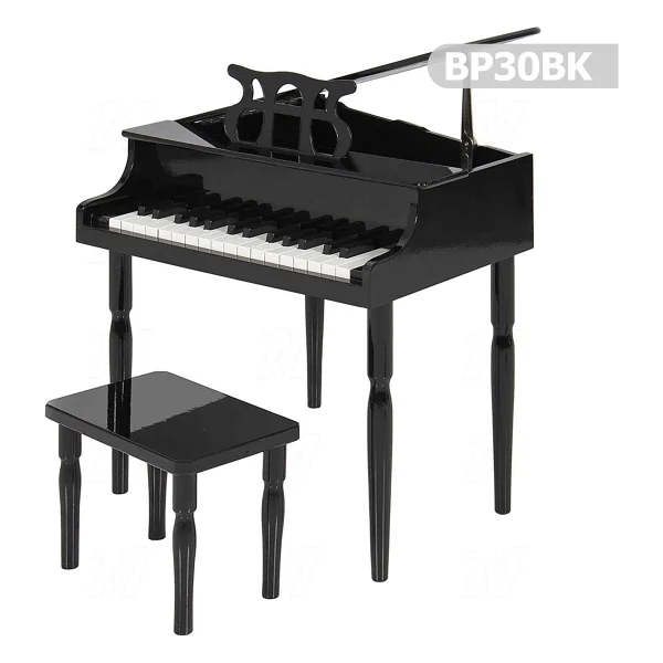 Manuel Raymond Çocuk Için Ahşap Çocuk Müzik Aleti Bp30bk - Görsel 5