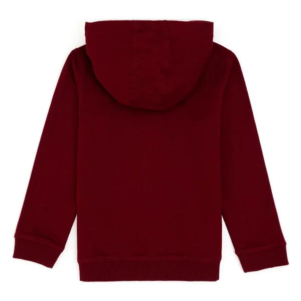 U.S. Polo Assn 50296390 Kapüşonlu Tam Fermuarlı Çocuk Sweatshirt - Görsel 4